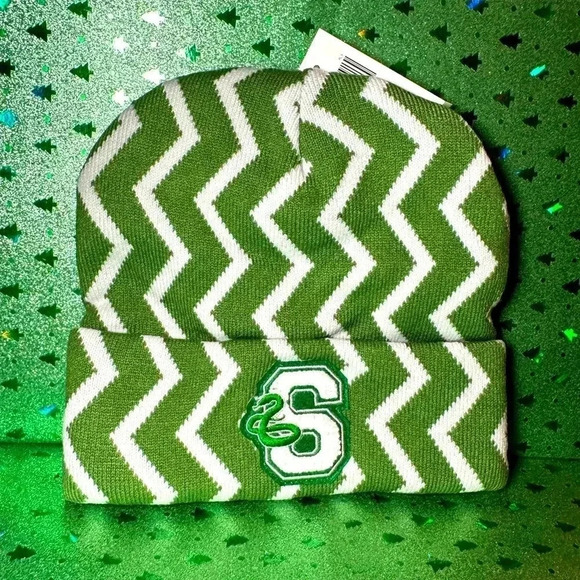 Slytherin Knit Beanie Hat NWT Harry Potter - Picture 1 of 8